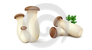 Fresh king oyster mushrooms with parsley leaf isolated on white background